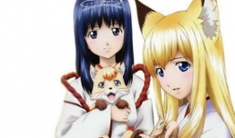 成人动漫magnet,磁力链接背后的故事与奥秘